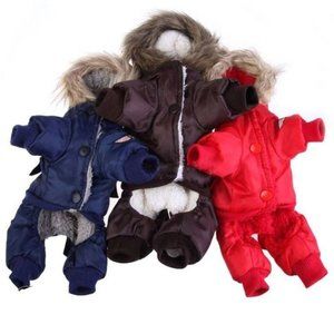 Small Dog Coat